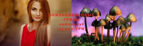 соль курить ск Алексеевка