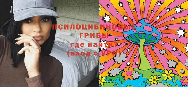 прущая мука Алзамай