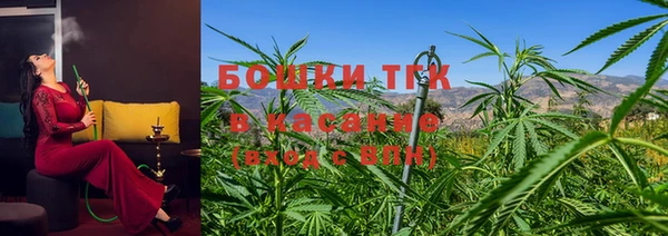 гидра Алексин
