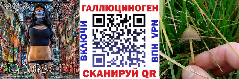 Галлюциногенные грибы Cubensis  кракен как зайти  Находка 
