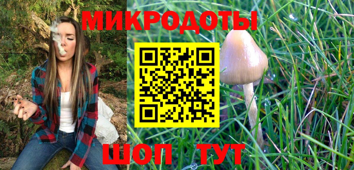 Галлюциногенные грибы мухоморы Находка
