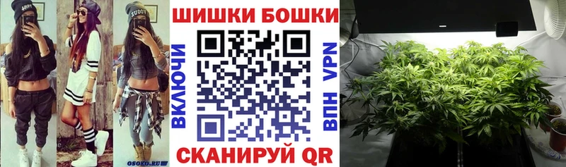 darknet наркотические препараты  Находка  Канабис ГИДРОПОН 